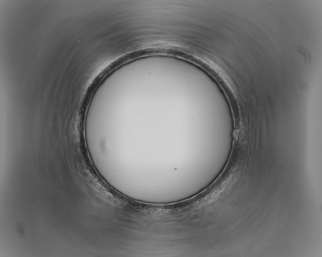 X0000111660783200907311137