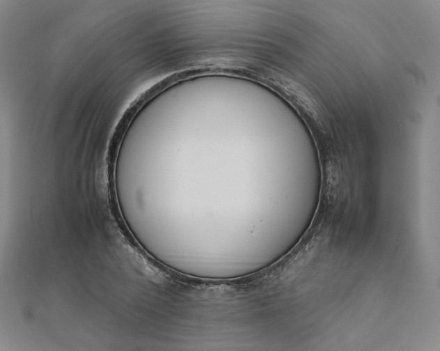 X0000111660784200907311137