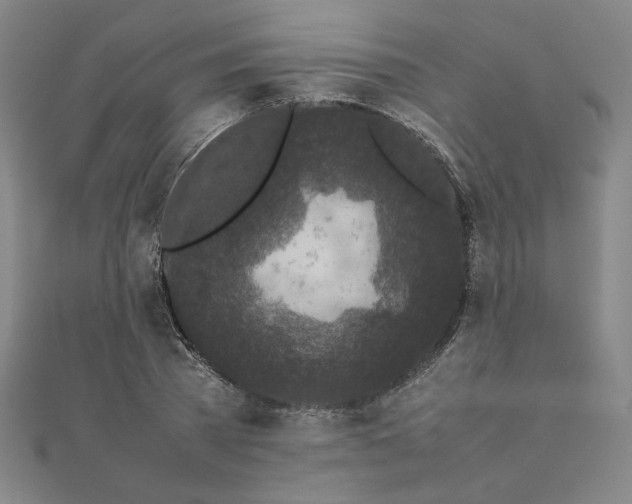 X0000111660785200907311137