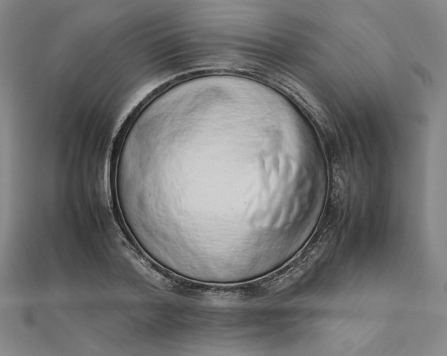 X0000111660788200907311137