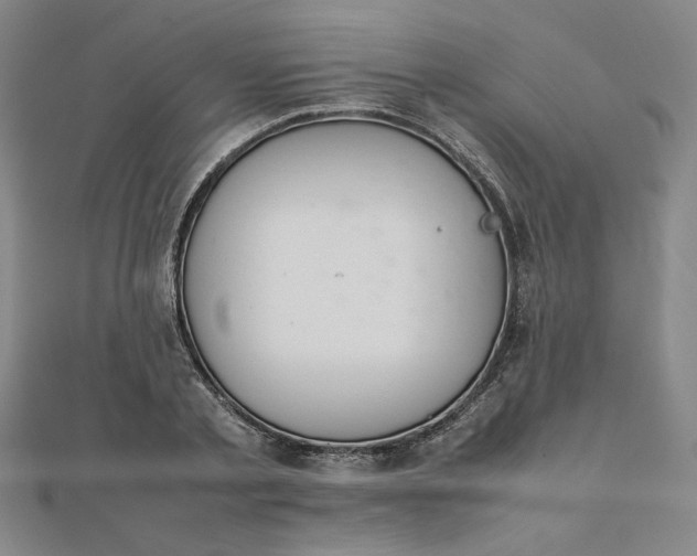 X0000111660789200907311137