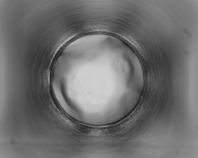 X0000111660790200907311137