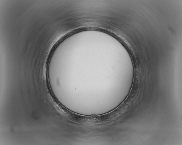 X0000111660791200907311137