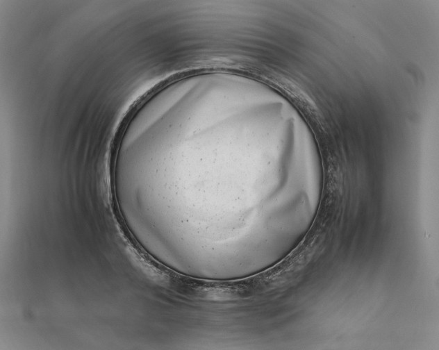 X0000111660792200907311137