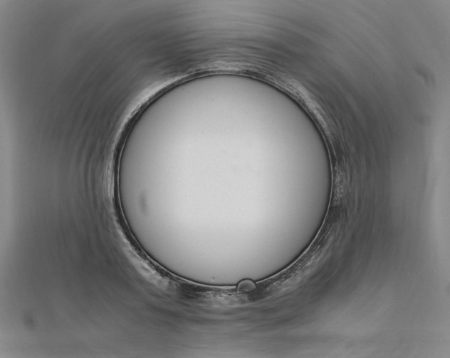 X0000111660795200907311137