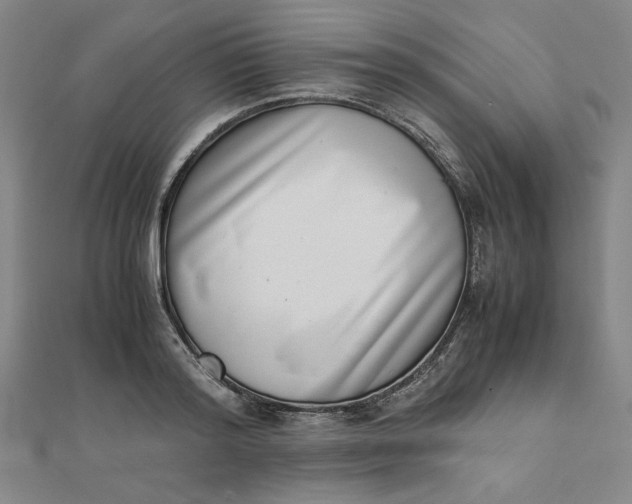 X0000111660796200907311137