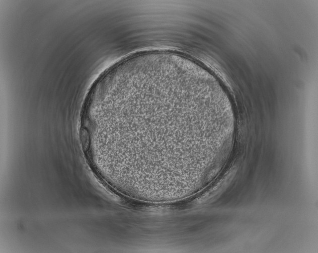 X0000111660797200907311137