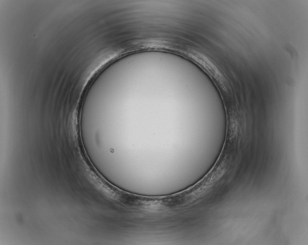 X0000111660798200907311137