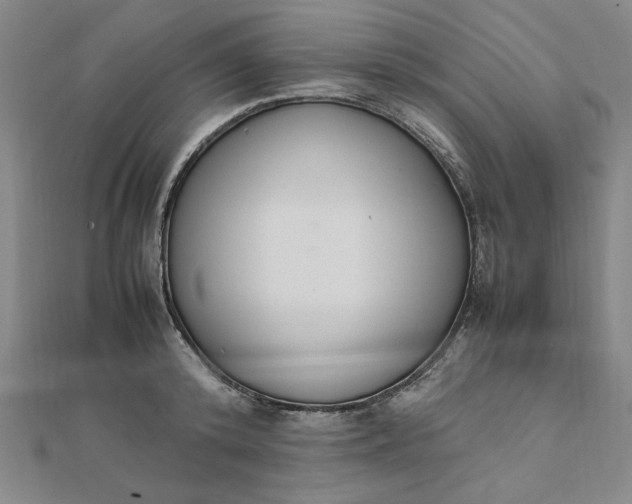 X0000111660800200907311137