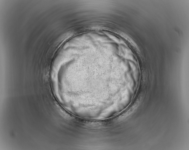 X0000111660801200907311137