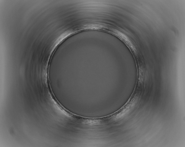 X0000111660802200907311137