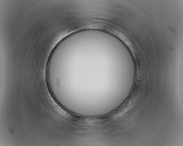 X0000111660803200907311137