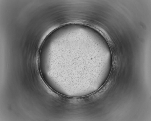 X0000111660804200907311137