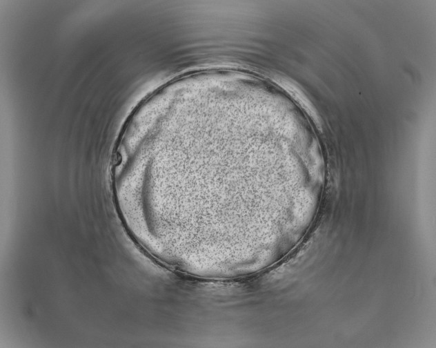 X0000111660805200907311137