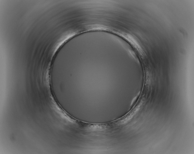 X0000111660806200907311137