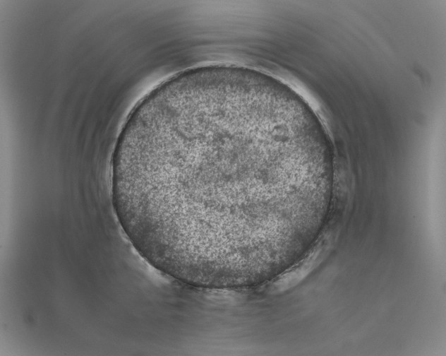 X0000111660807200907311137