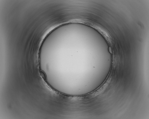 X0000111660808200907311137