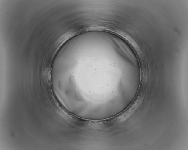 X0000111660809200907311137