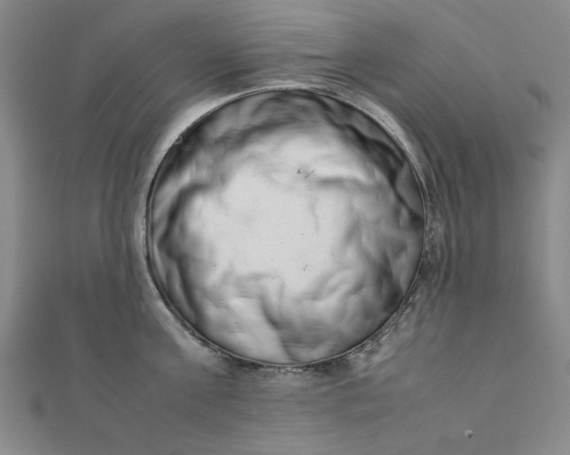 X0000111660811200907311137