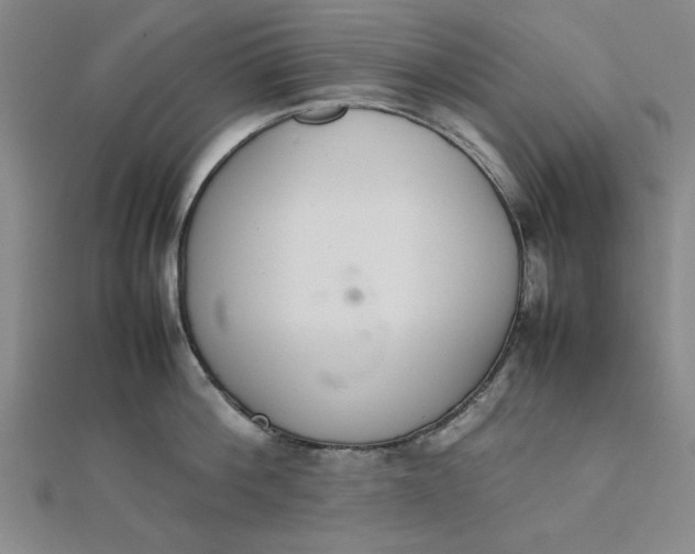 X0000111660812200907311137