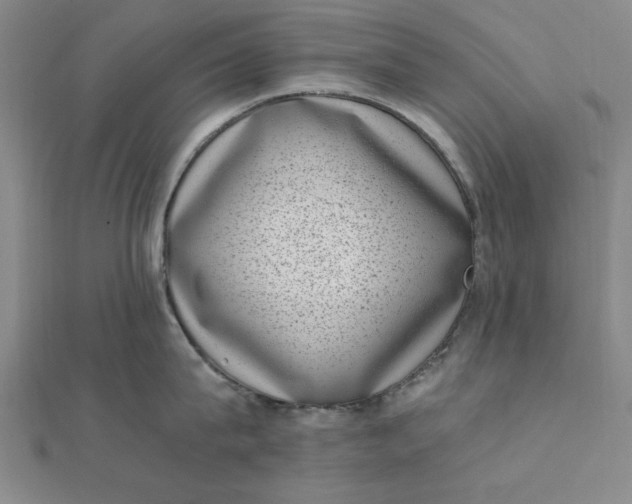 X0000111660815200907311136