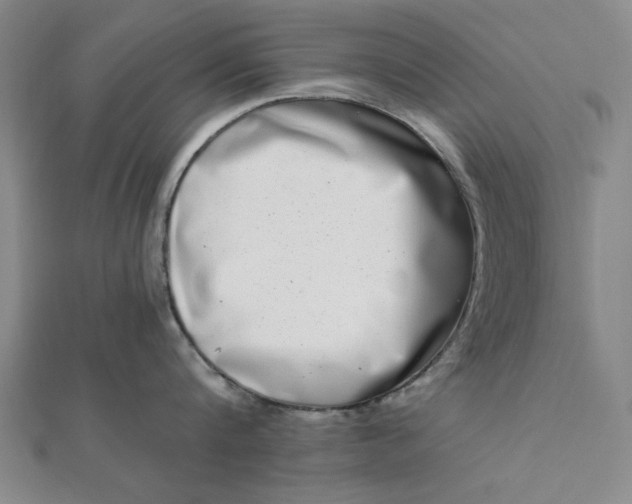 X0000111660816200907311136