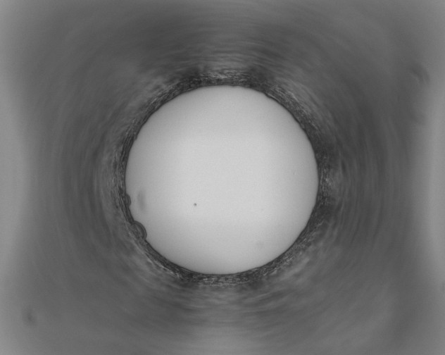 X0000111660817200907311136