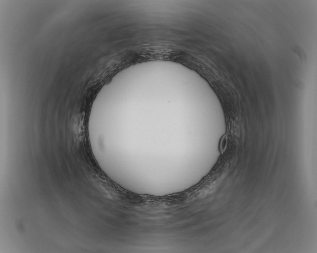 X0000111660818200907311136