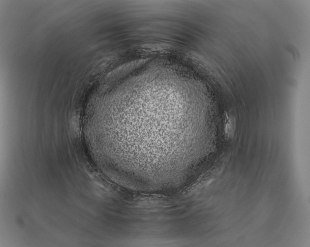 X0000111660819200907311136