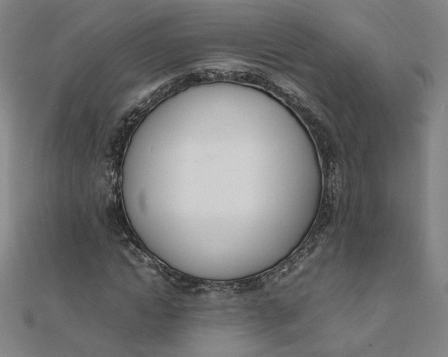 X0000111660822200907311136