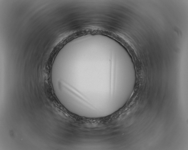 X0000111660823200907311136