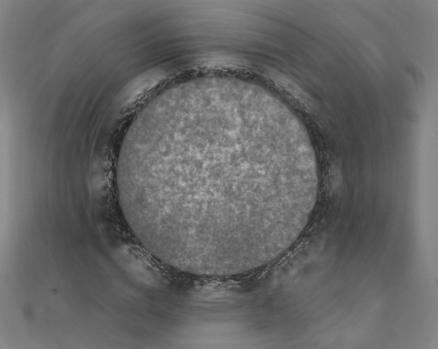 X0000111660824200907311136