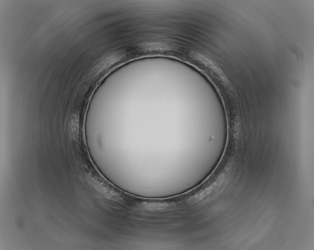 X0000111660825200907311136