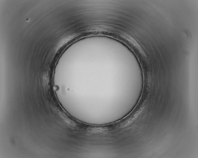 X0000111660826200907311136