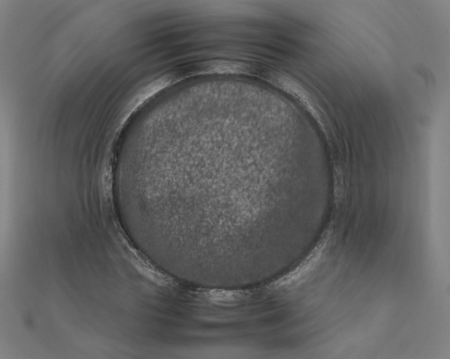 X0000111660827200907311136