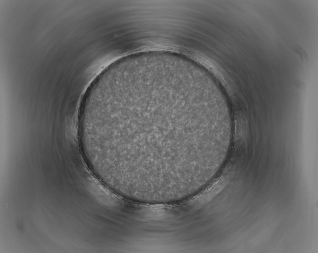 X0000111660828200907311136