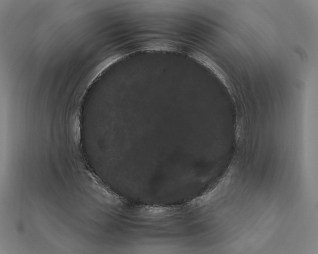 X0000111660829200907311136