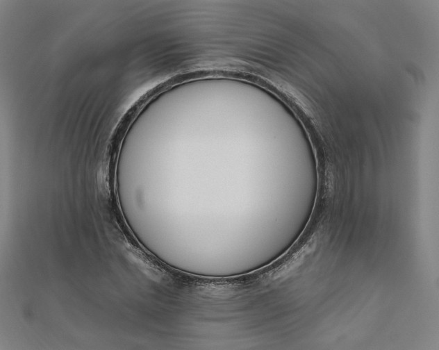 X0000111660830200907311136