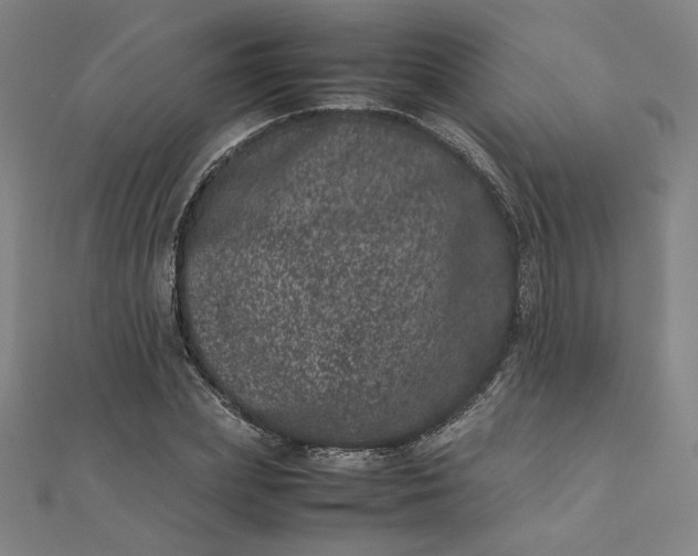 X0000111660831200907311136