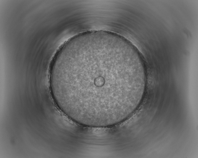 X0000111660832200907311136