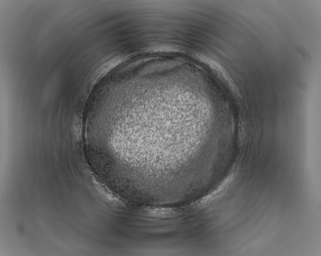 X0000111660833200907311136