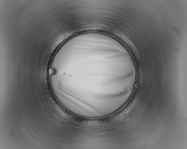 X0000111660834200907311136