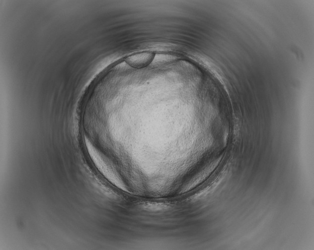 X0000111660835200907311136