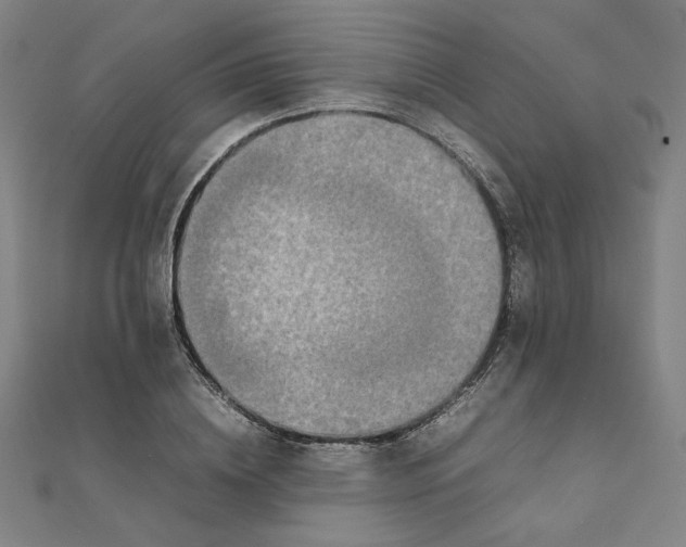 X0000111660836200907311136