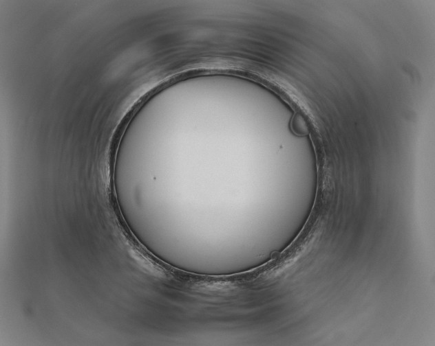 X0000111660837200907311136