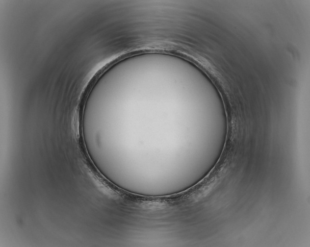 X0000111660838200907311136