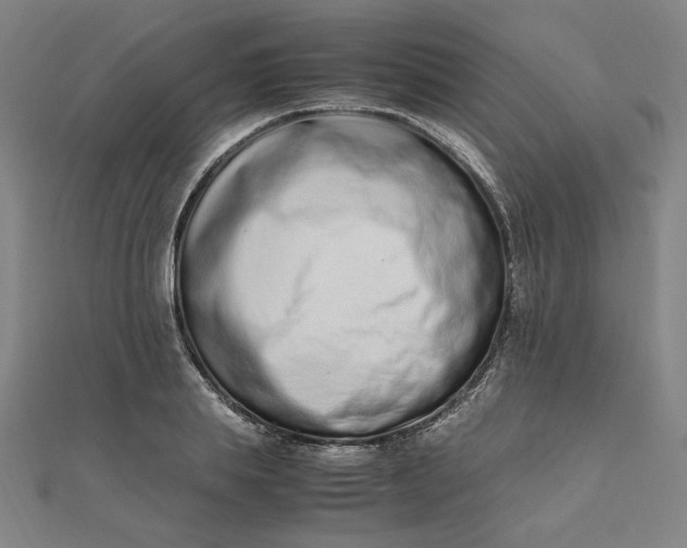 X0000111660839200907311136