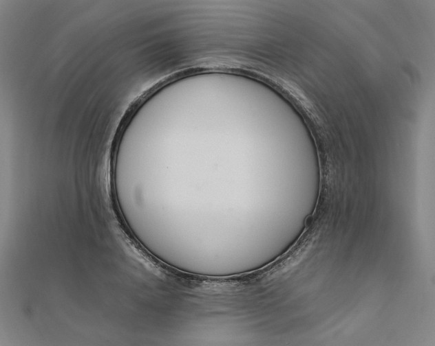 X0000111660840200907311136