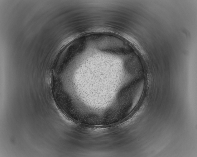 X0000111660841200907311136