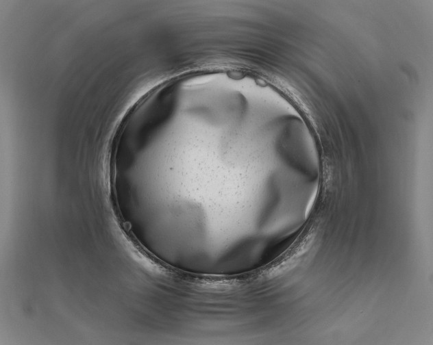 X0000111660843200907311136